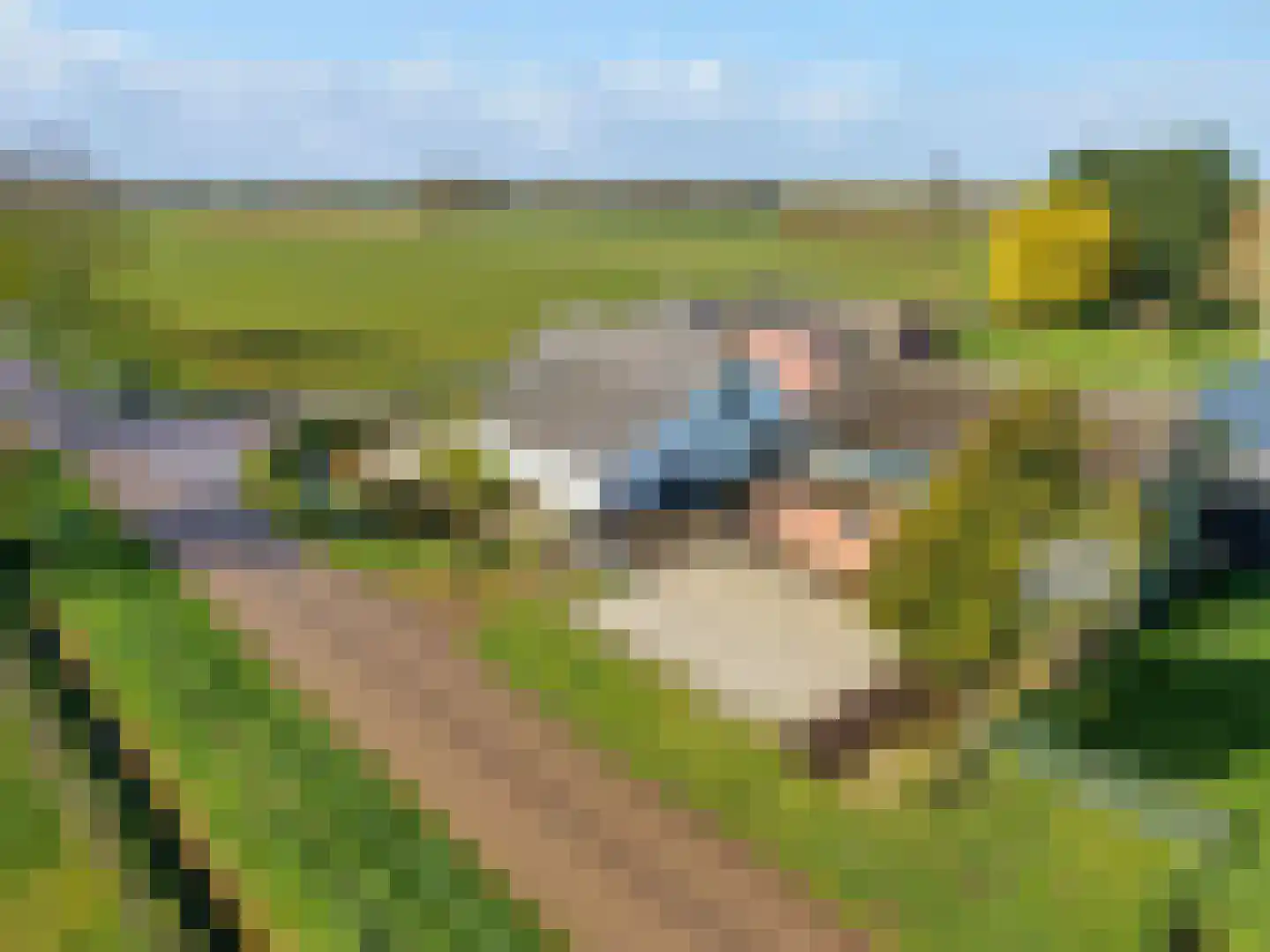 Spilbergen 2 Ommeren thumbnail 4