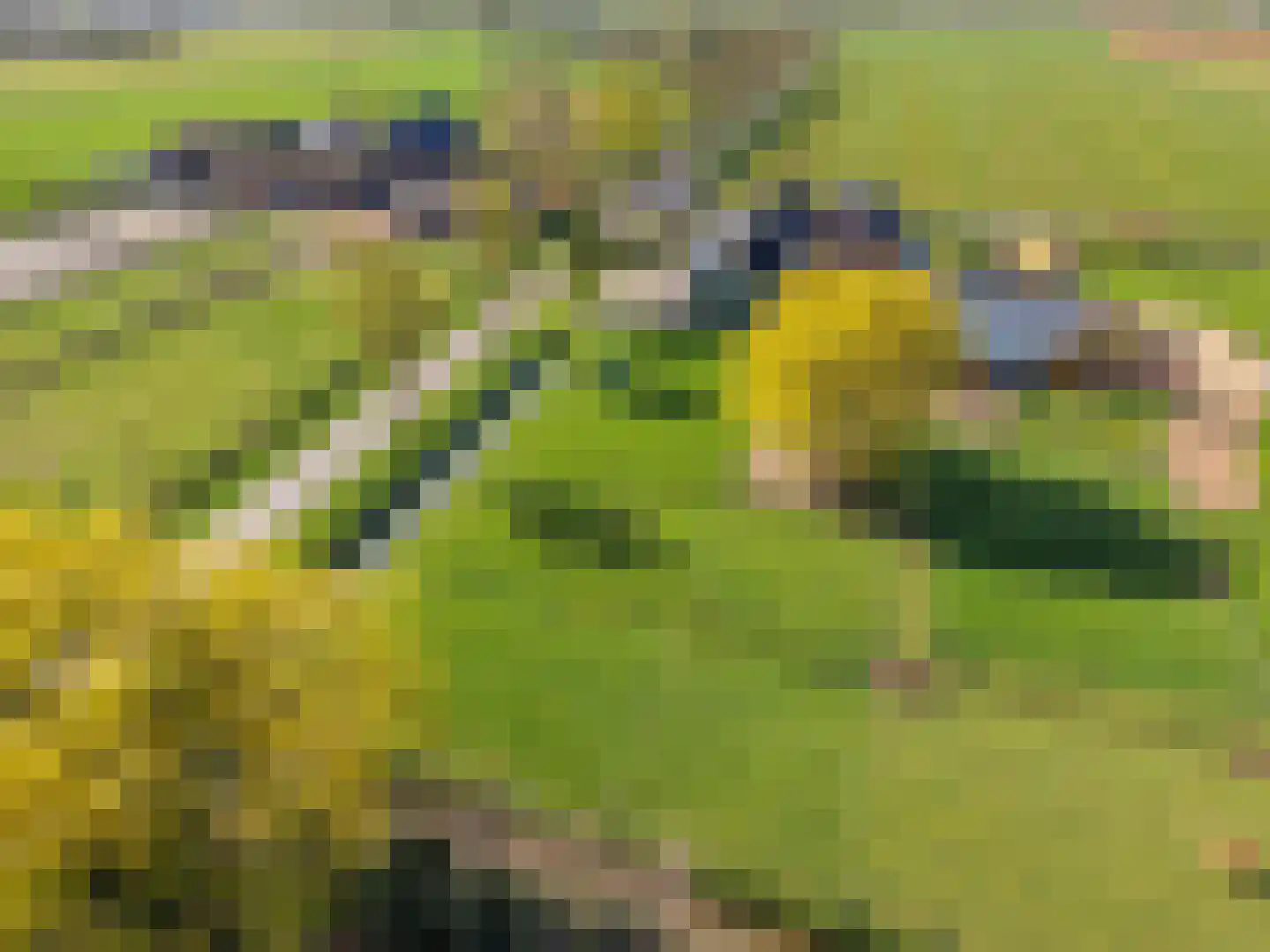 Spilbergen 2 Ommeren thumbnail 8
