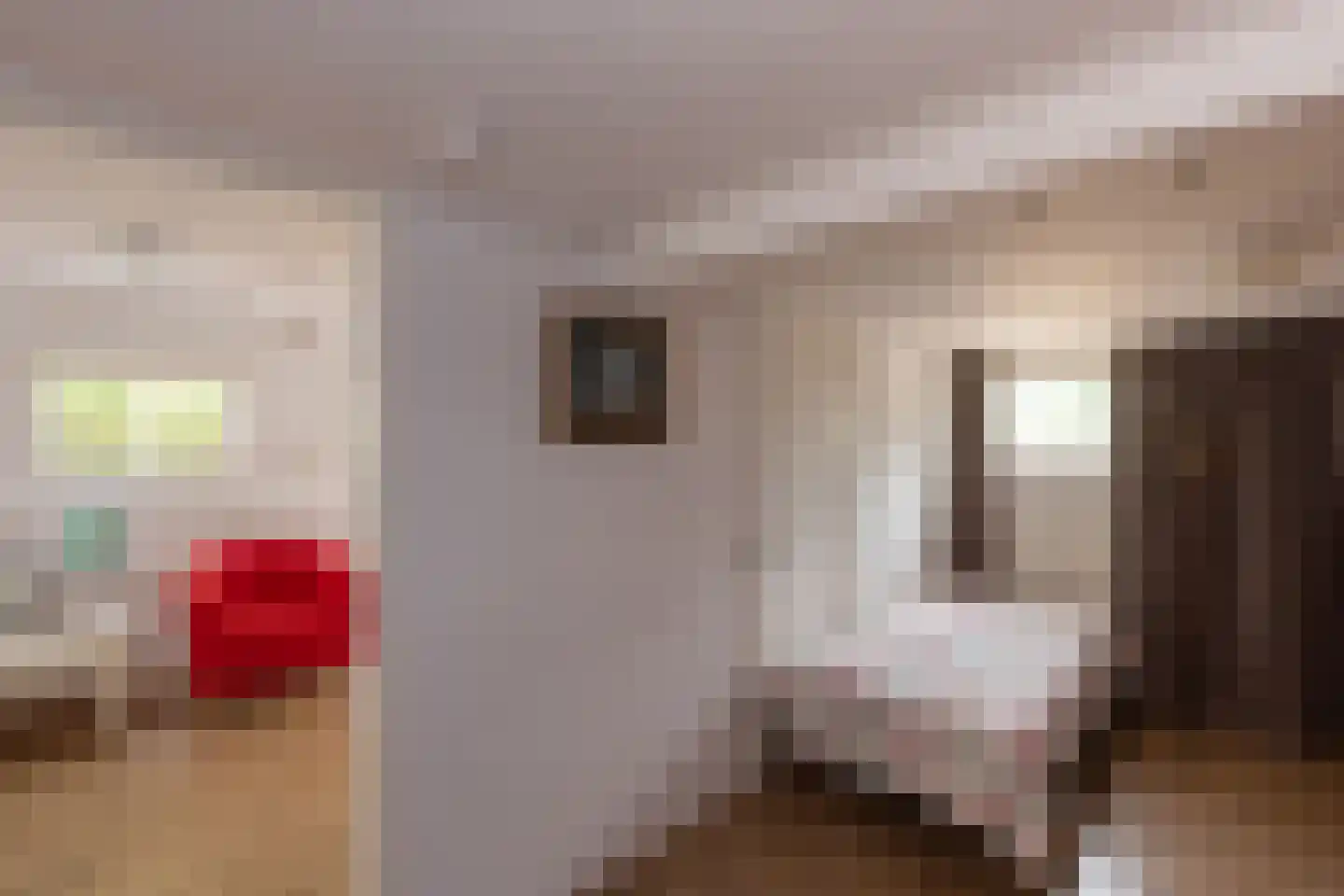 Spilbroek 1 Neede thumbnail 18