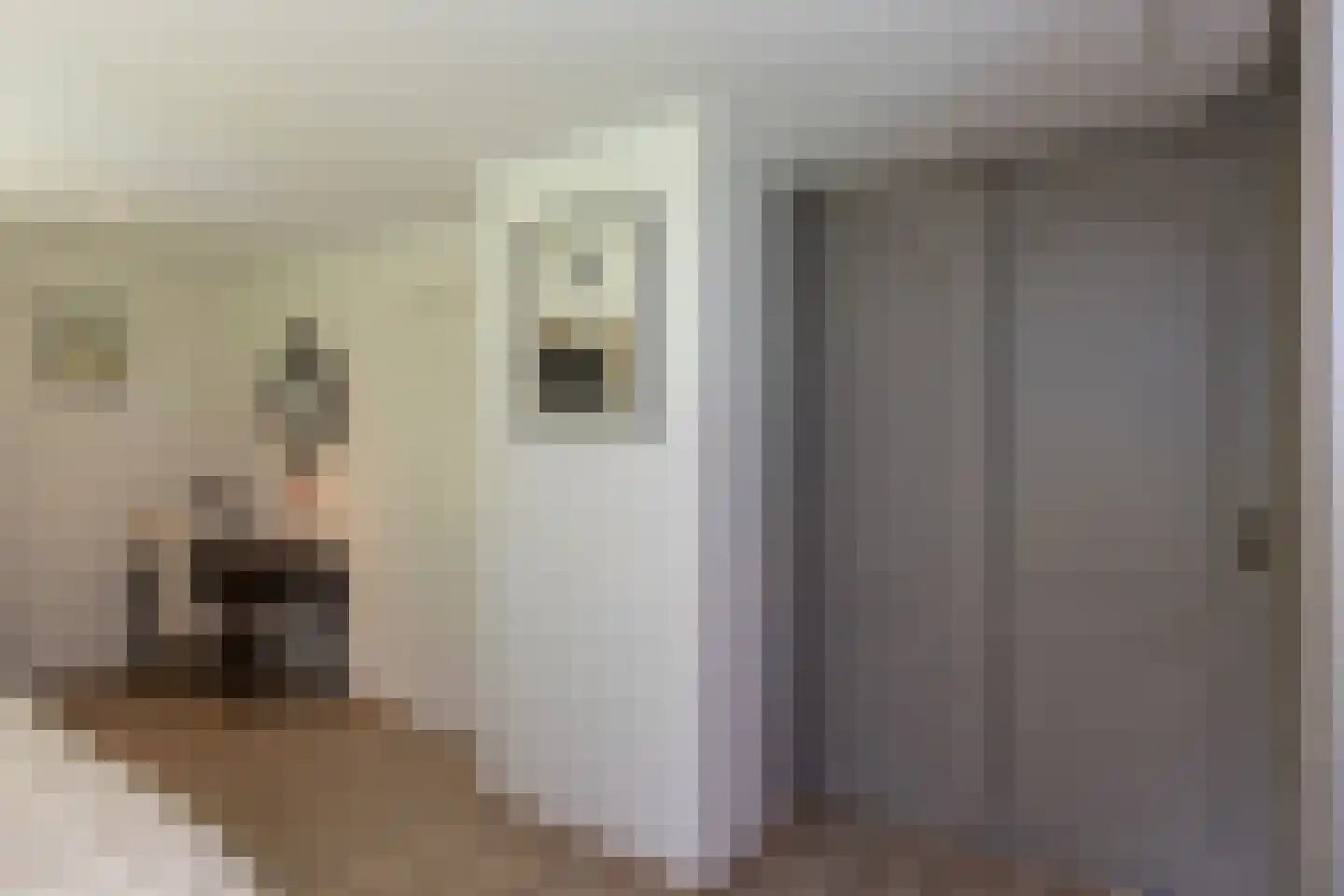 Spilbroek 1 Neede thumbnail 29