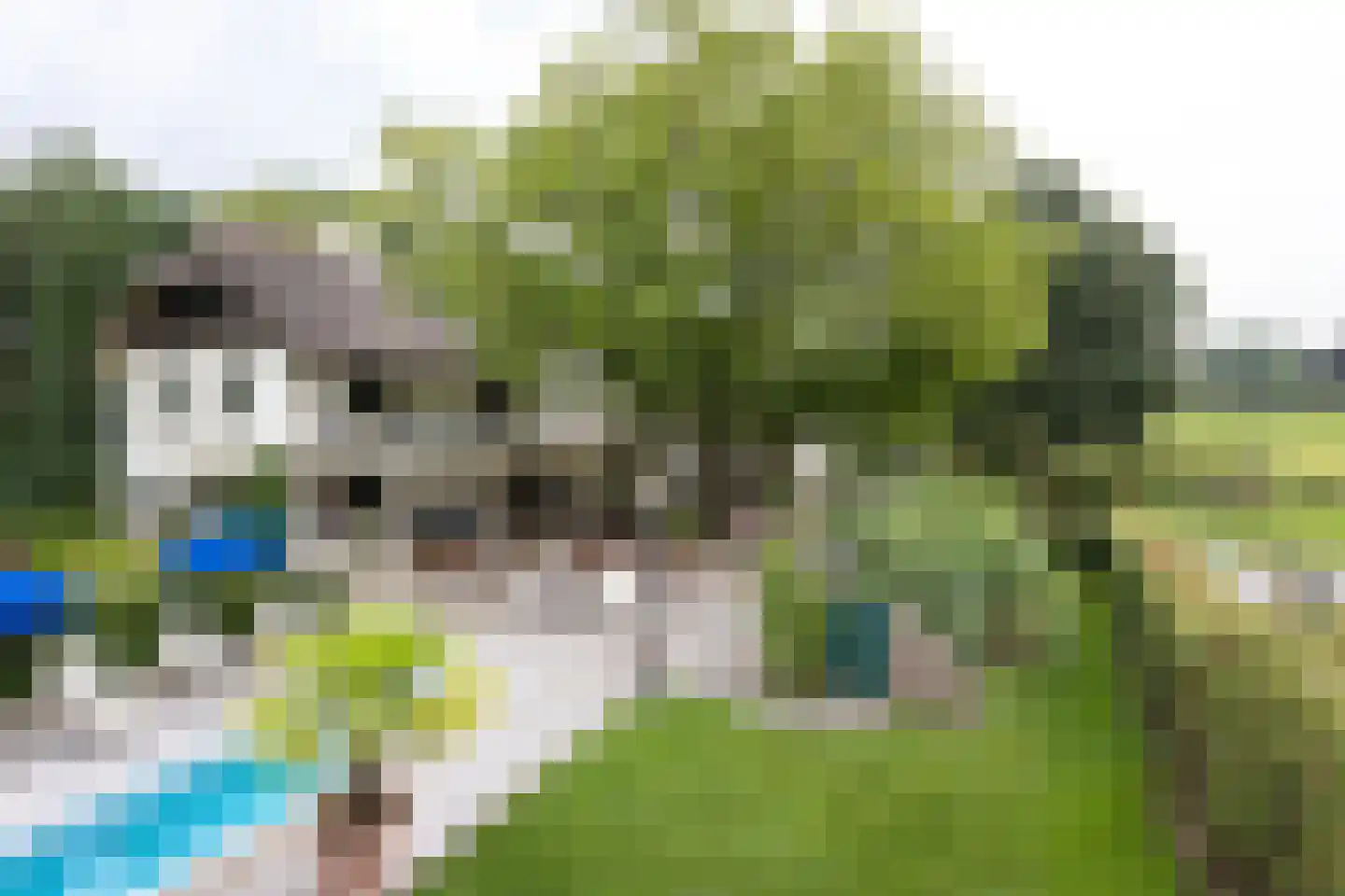 Spilbroek 1 Neede thumbnail 42