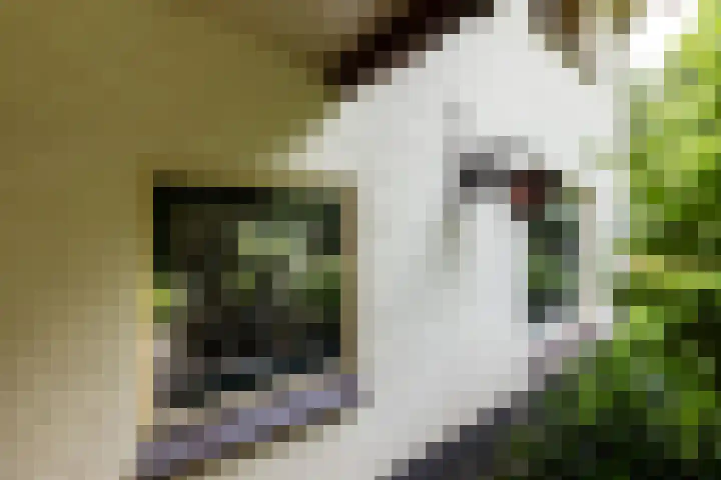 Spilbroek 1 Neede thumbnail 49