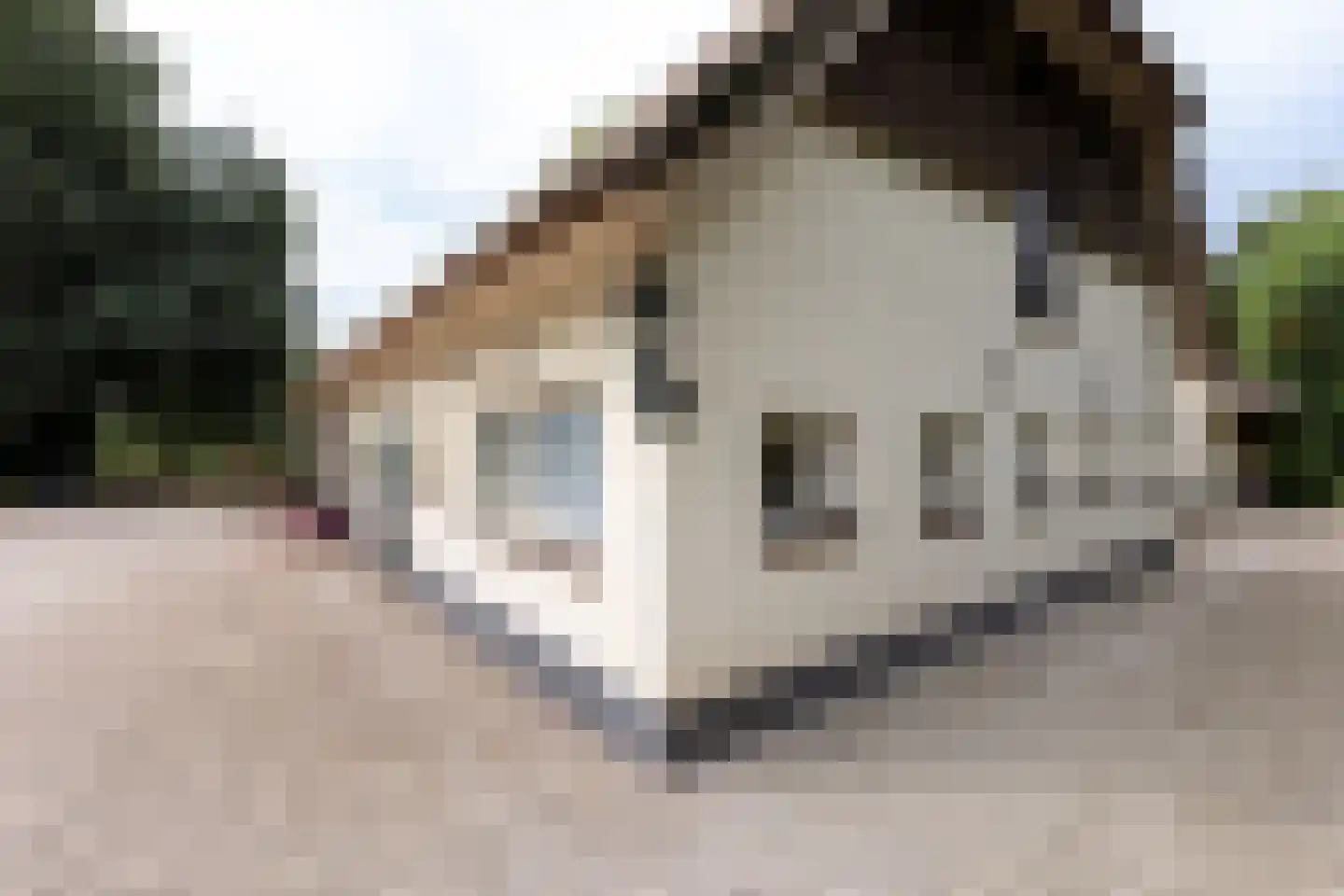 Spilbroek 1 Neede thumbnail 50