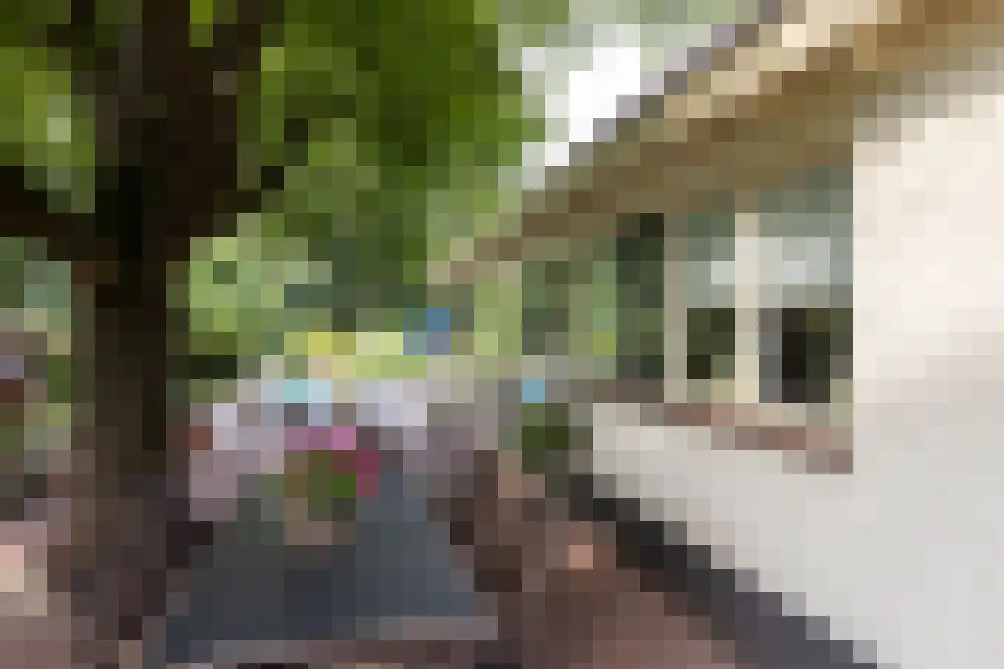 Spilbroek 1 Neede thumbnail 52