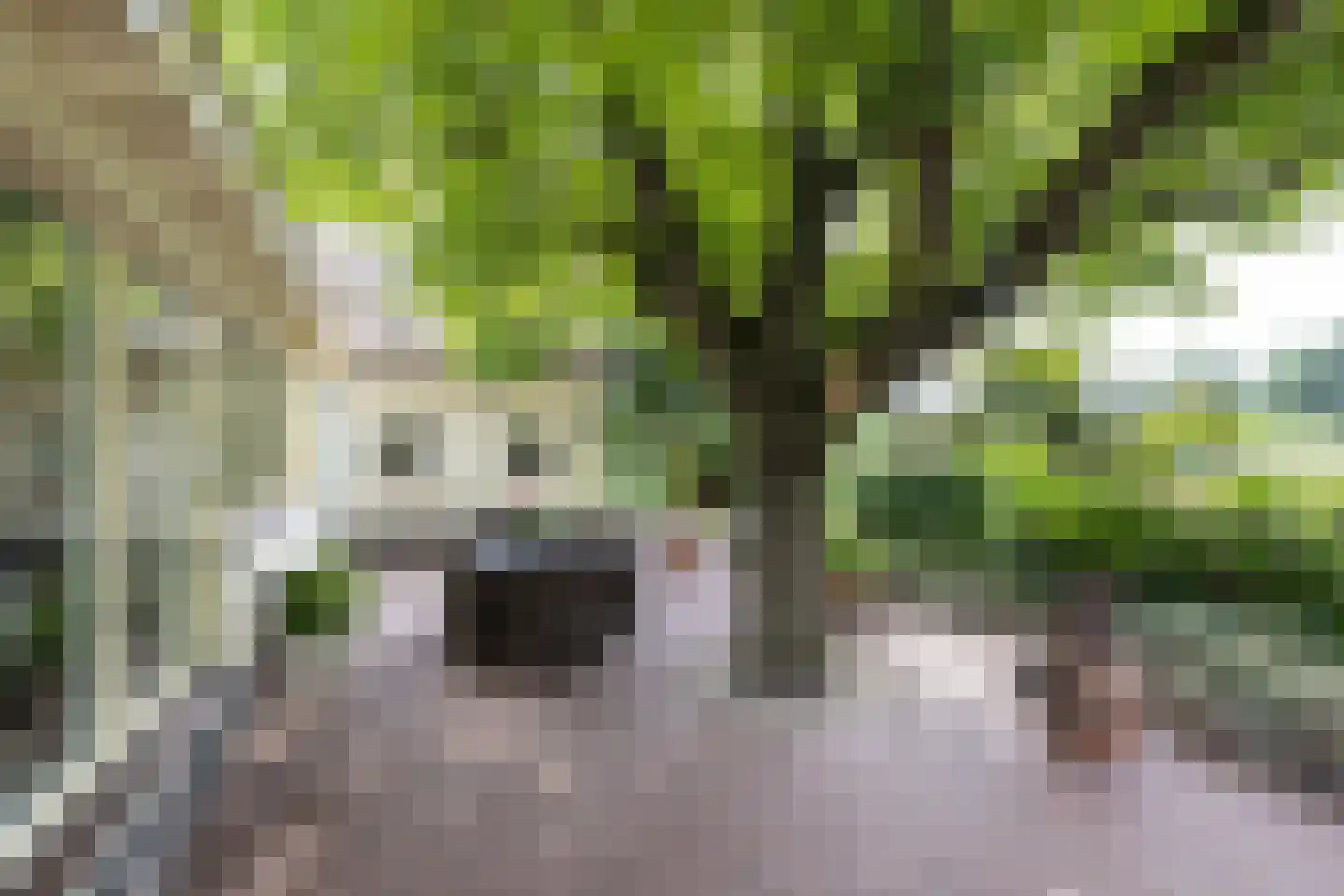 Spilbroek 1 Neede thumbnail 53