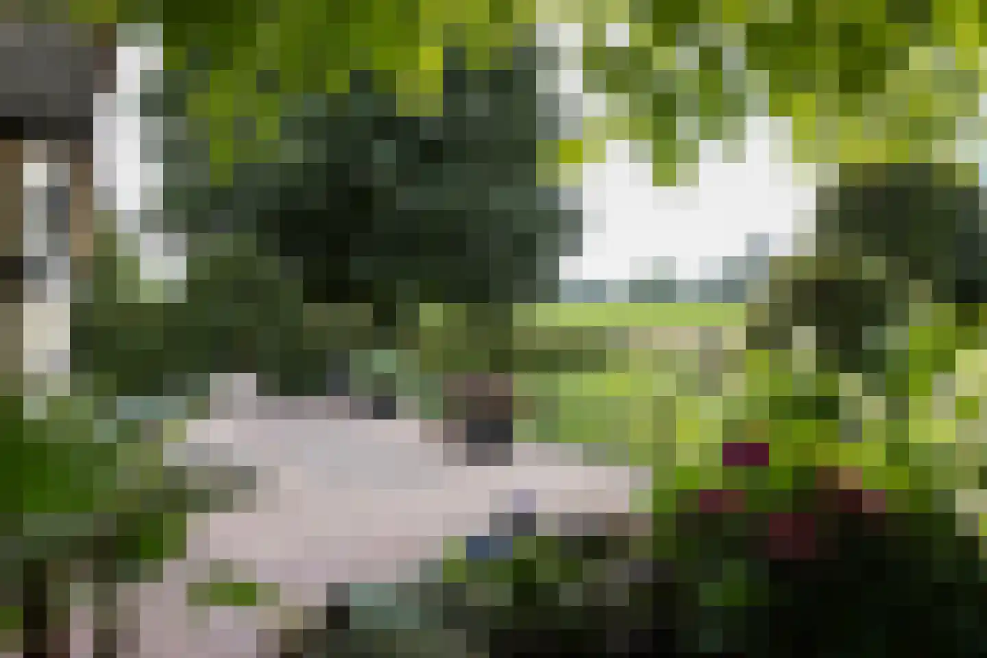 Spilbroek 1 Neede thumbnail 55