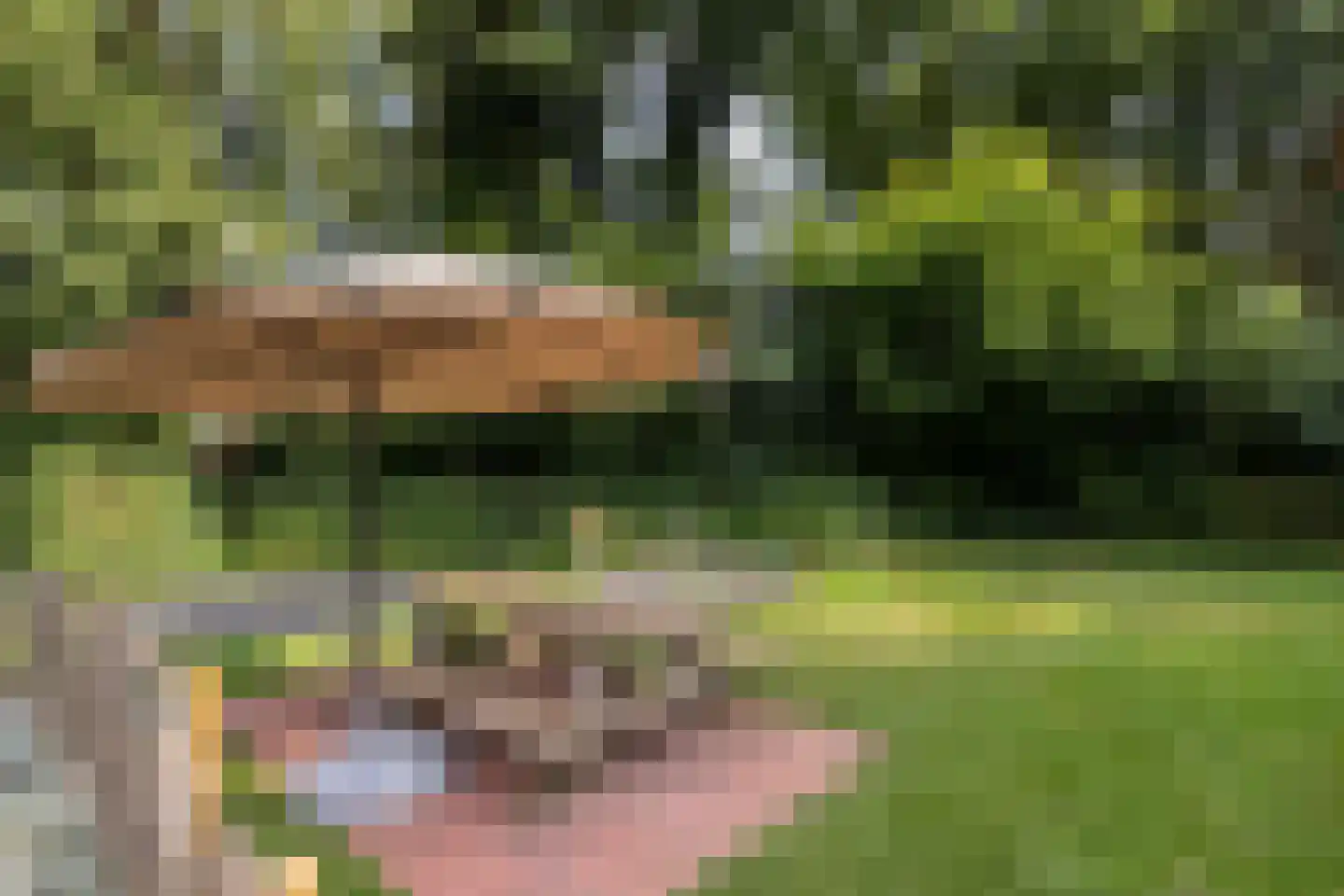 Spilbroek 1 Neede thumbnail 58