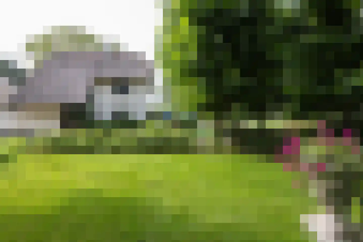 Spilbroek 1 Neede thumbnail 59