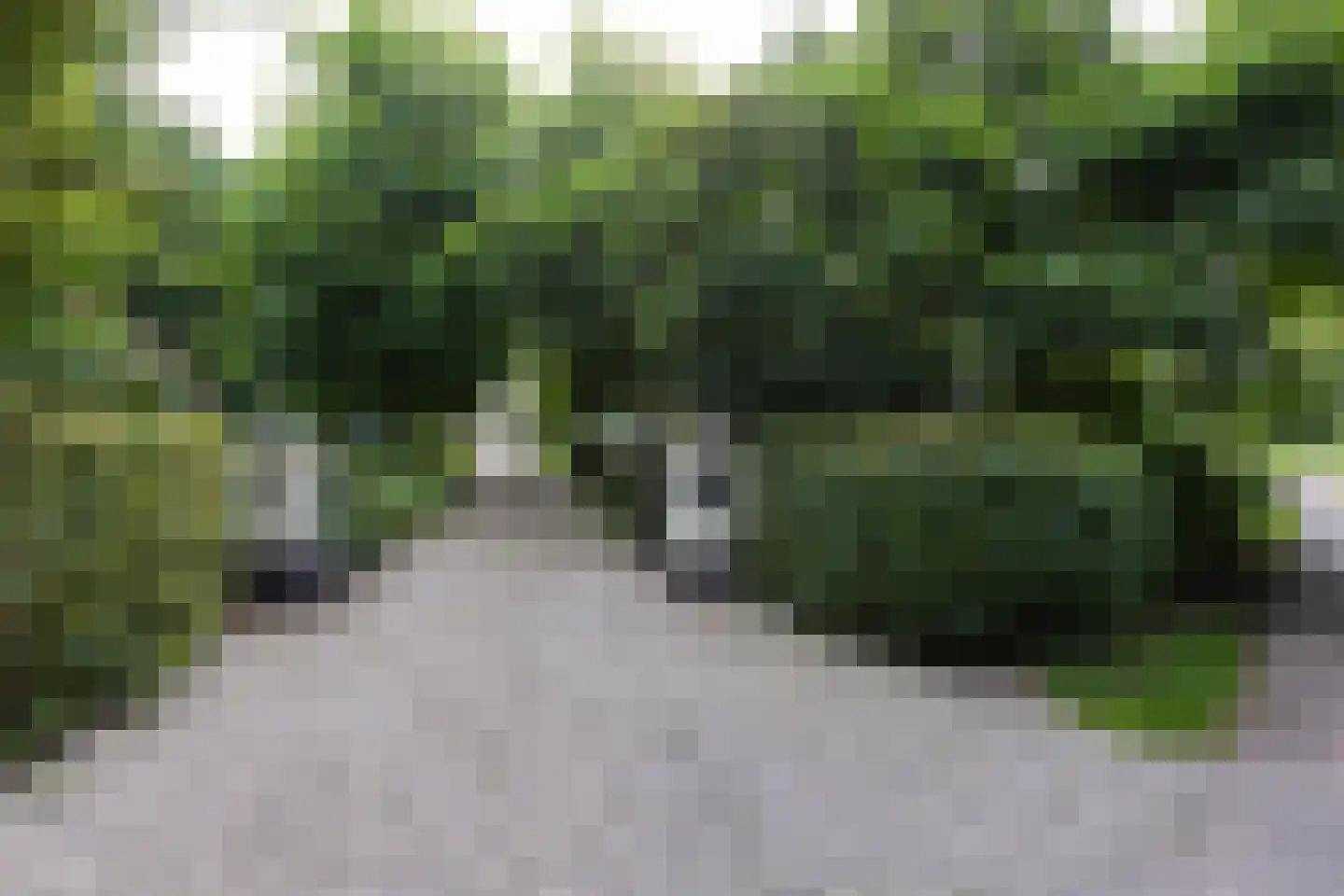 Spilbroek 1 Neede thumbnail 60