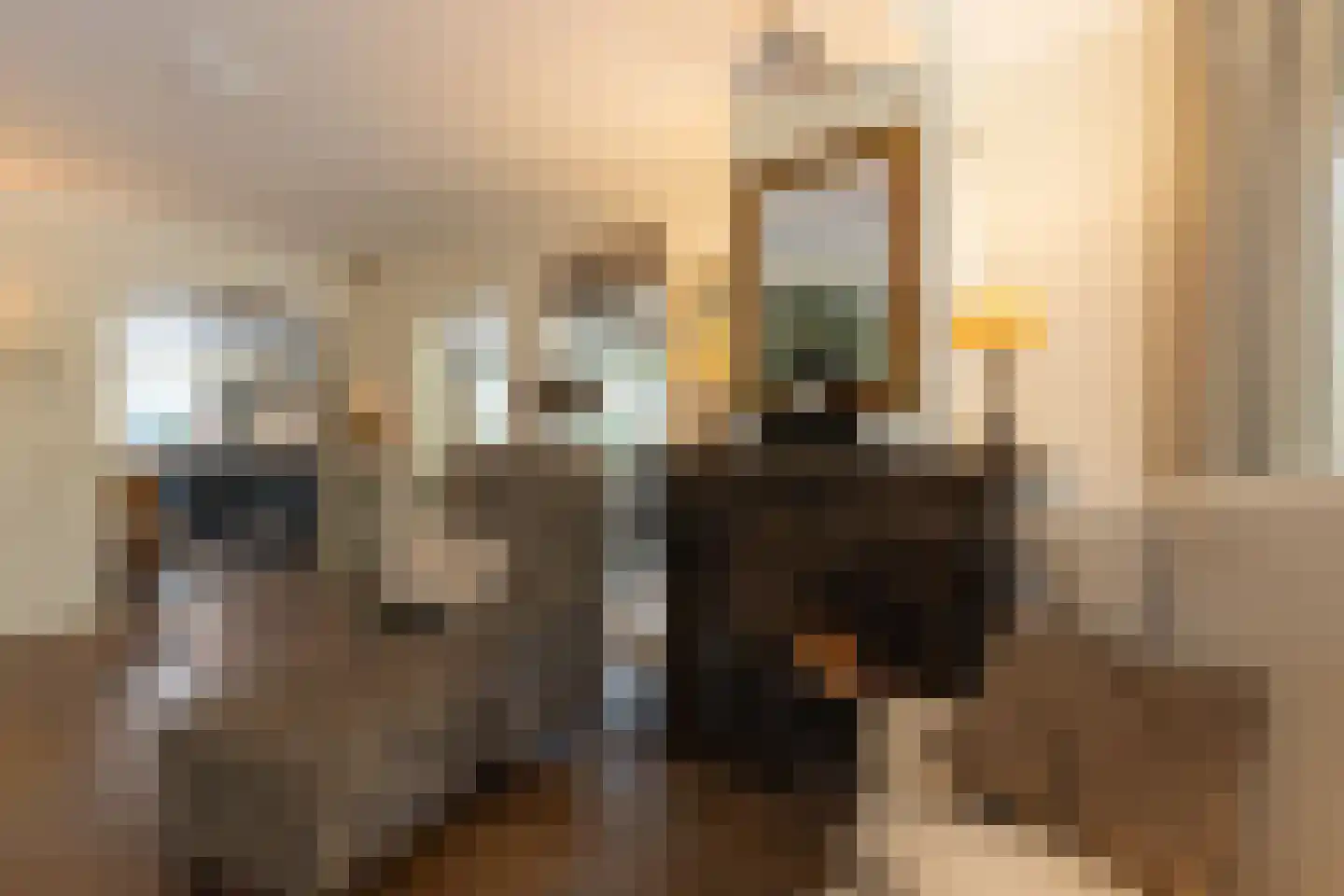 Spilbroek 1 Neede thumbnail 8