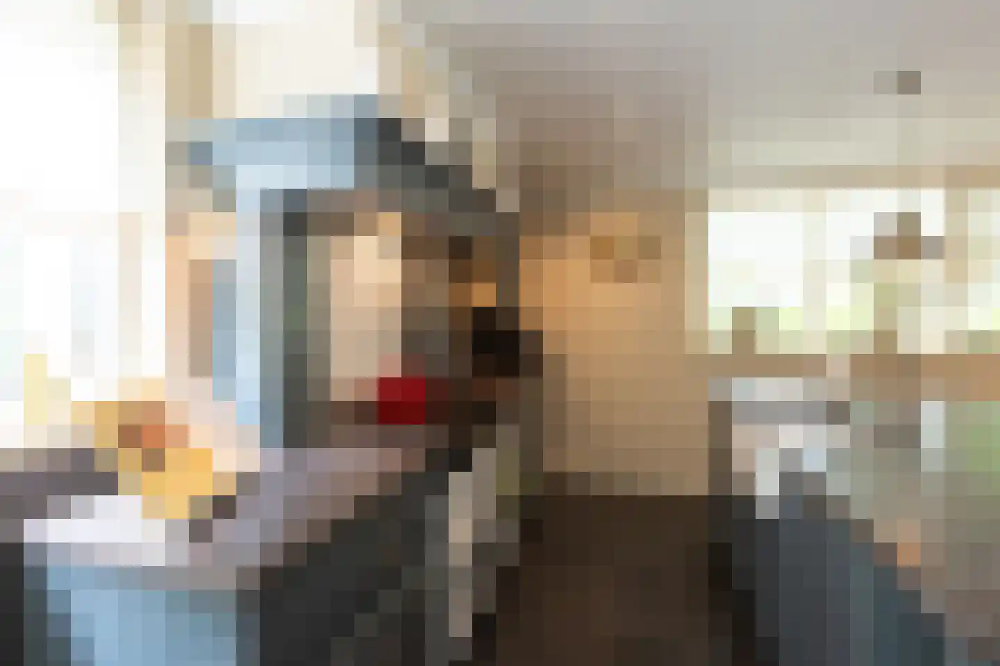 Spilbroek 1 Neede thumbnail 9