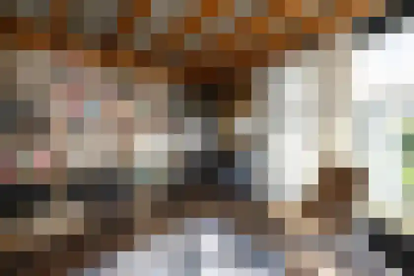 Spillaan 22 Heiloo thumbnail 12