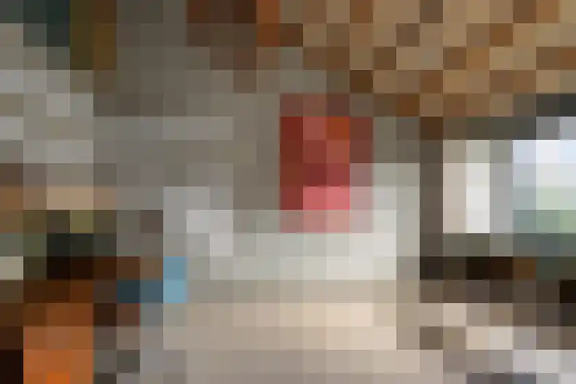 Spillaan 22 Heiloo thumbnail 23