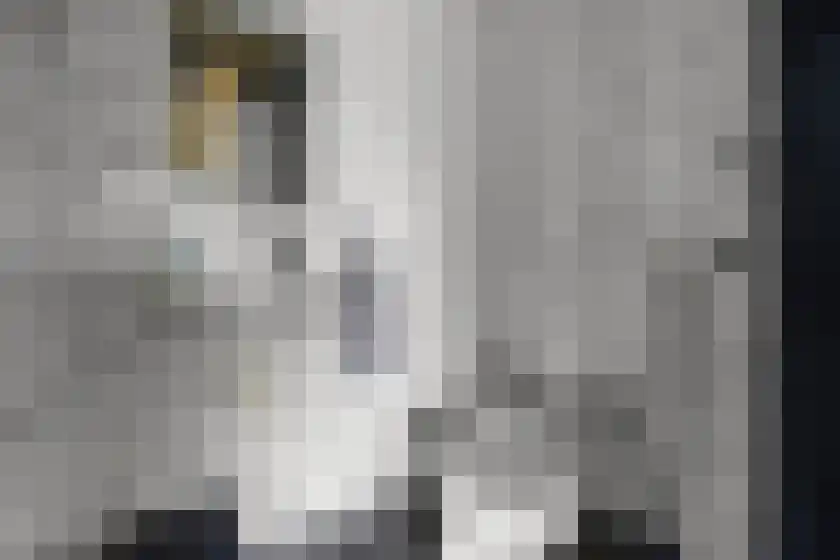 Spillaan 22 Heiloo thumbnail 41