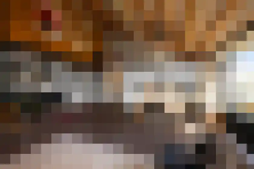 Spillaan 22 Heiloo thumbnail 5