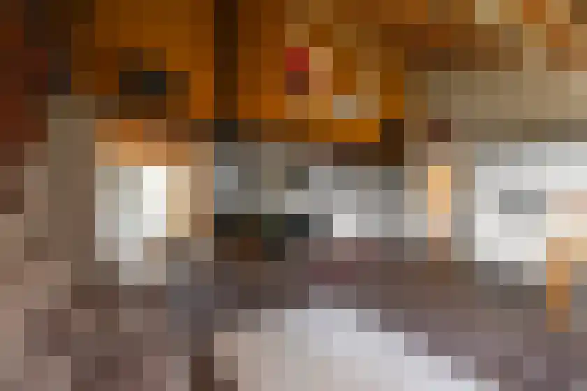 Spillaan 22 Heiloo thumbnail 6