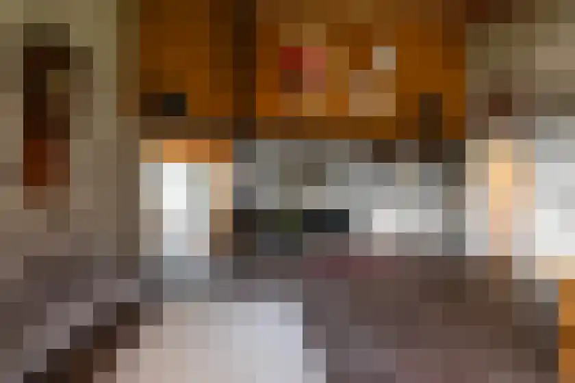 Spillaan 22 Heiloo thumbnail 7