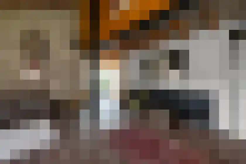 Spillaan 22 Heiloo thumbnail 8