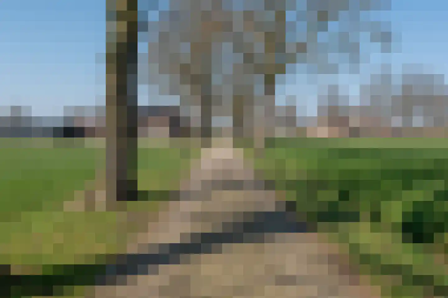 Spilmansdijk 12 Beltrum thumbnail 59