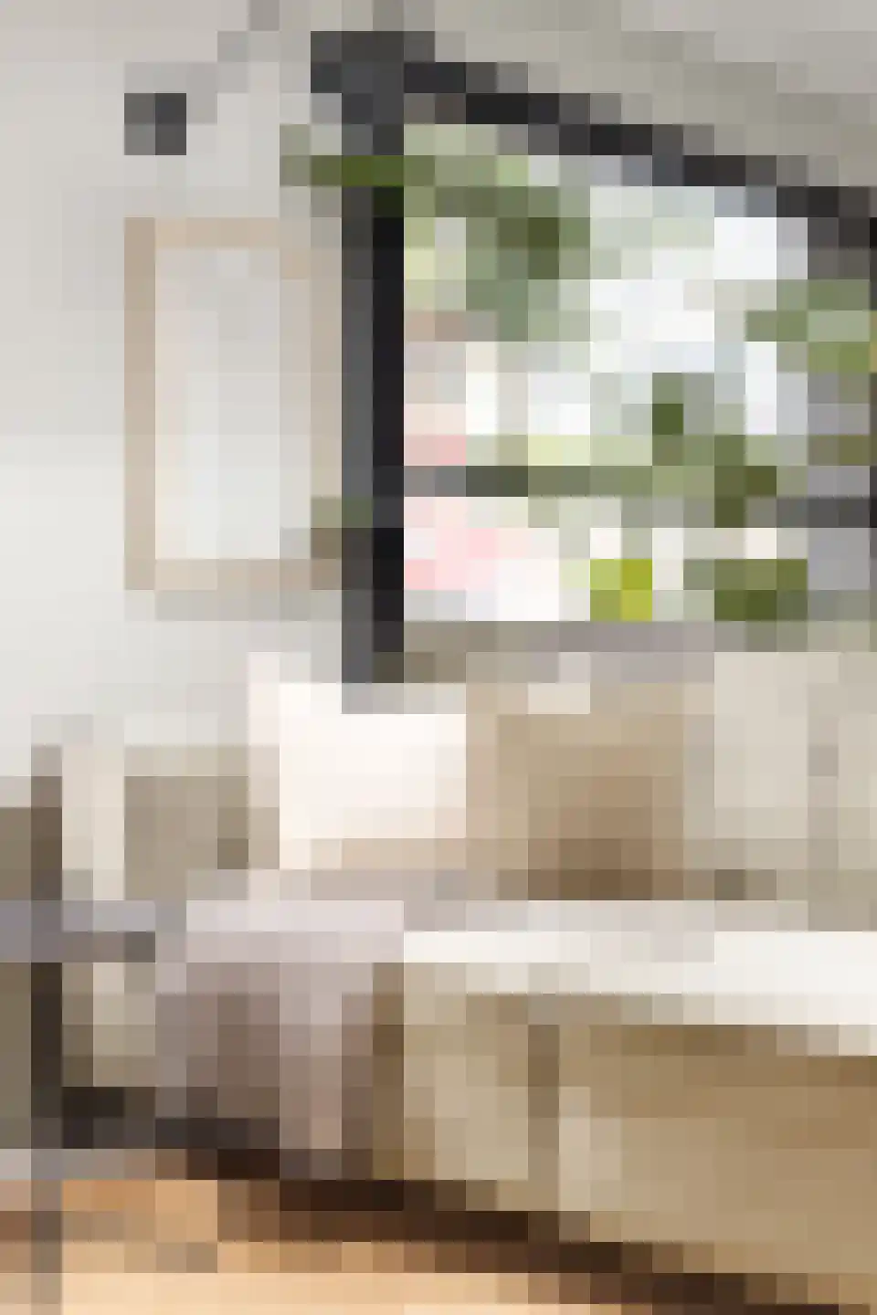 Spilsluizen 1004 Groningen thumbnail 10