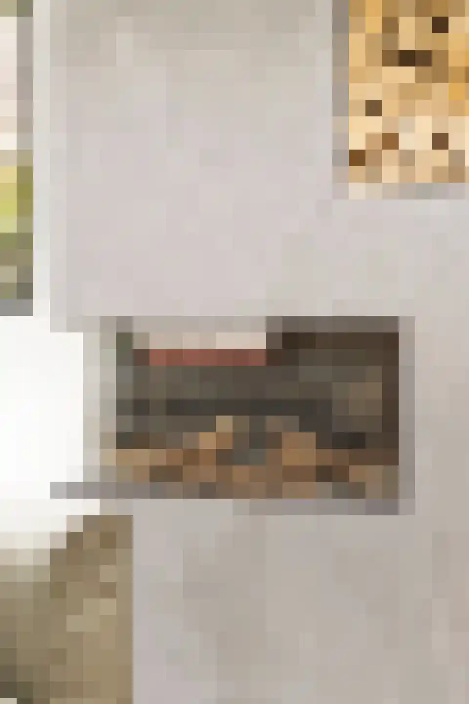 Spilsluizen 1004 Groningen thumbnail 12