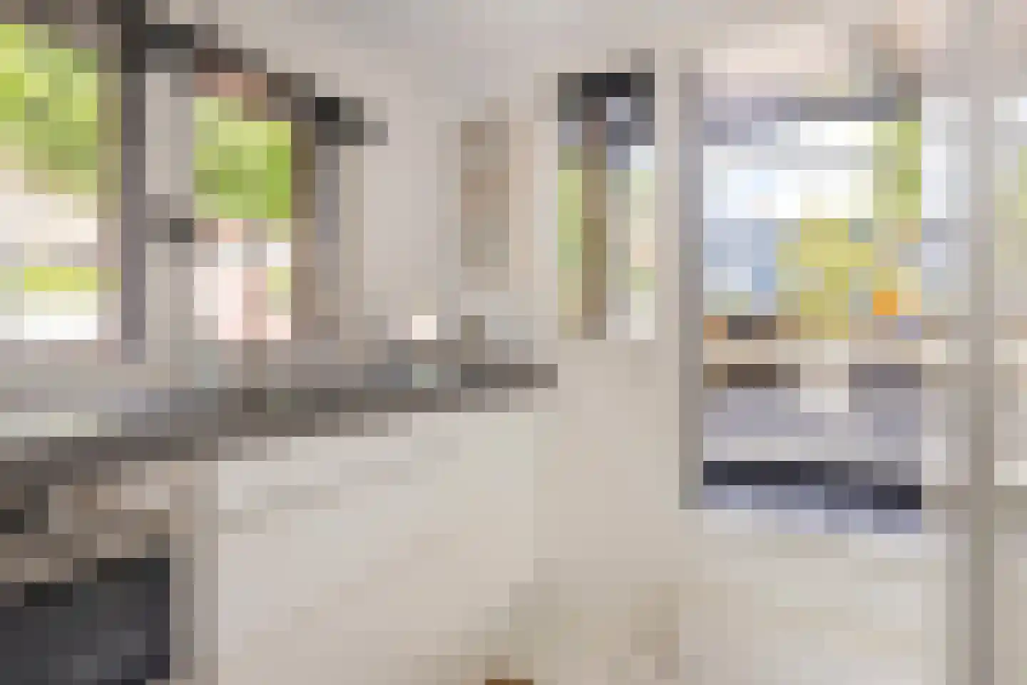 Spilsluizen 1004 Groningen thumbnail 15