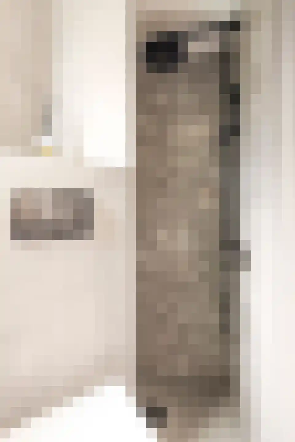 Spilsluizen 1004 Groningen thumbnail 17