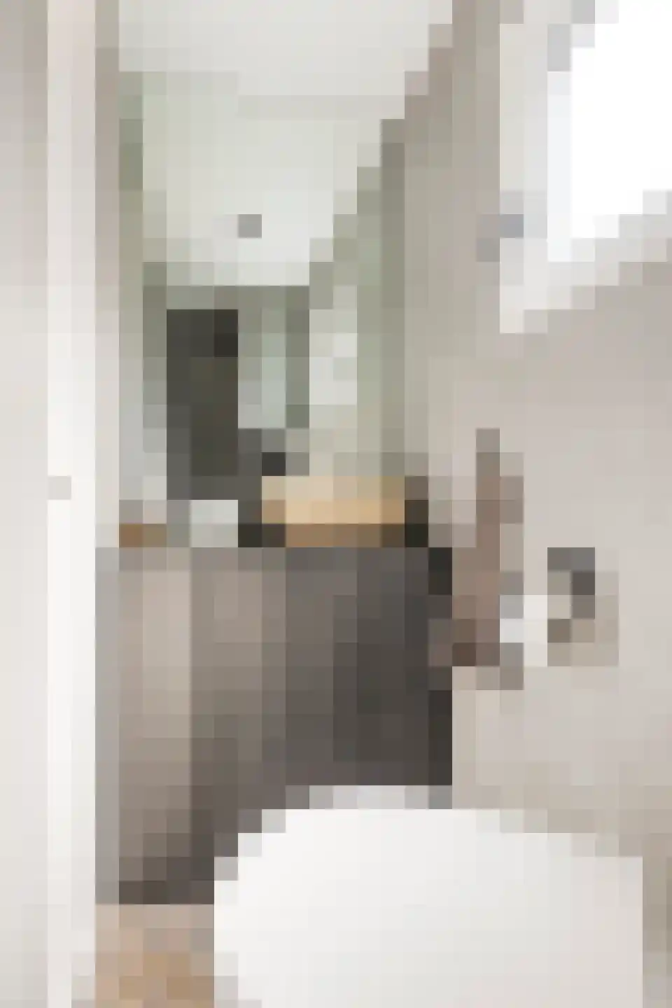 Spilsluizen 1004 Groningen thumbnail 18