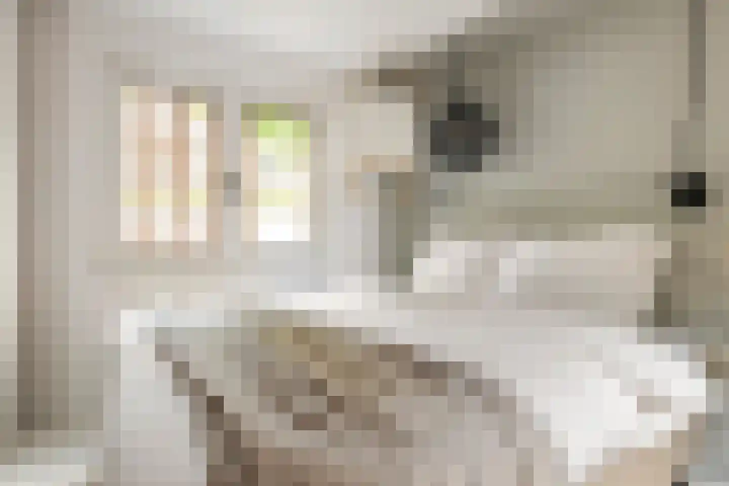 Spilsluizen 1004 Groningen thumbnail 20