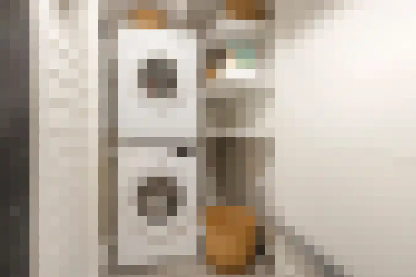 Spilsluizen 1004 Groningen thumbnail 22