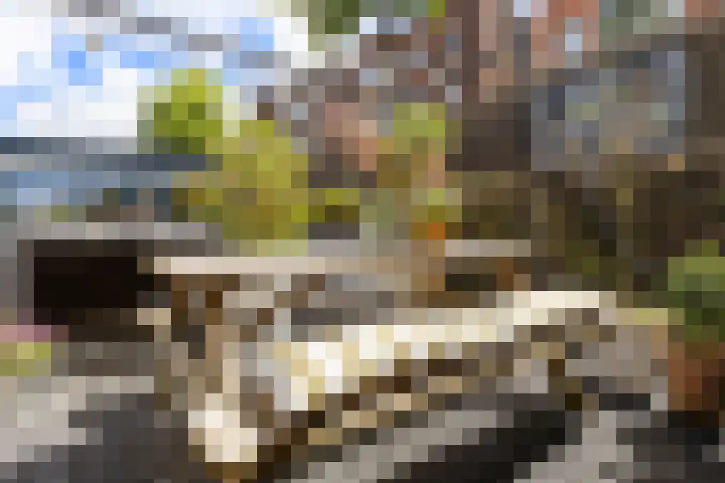 Spilsluizen 1004 Groningen thumbnail 23
