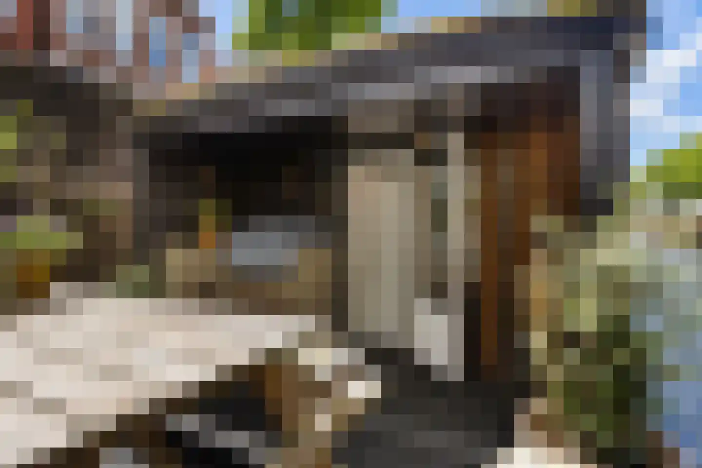 Spilsluizen 1004 Groningen thumbnail 25