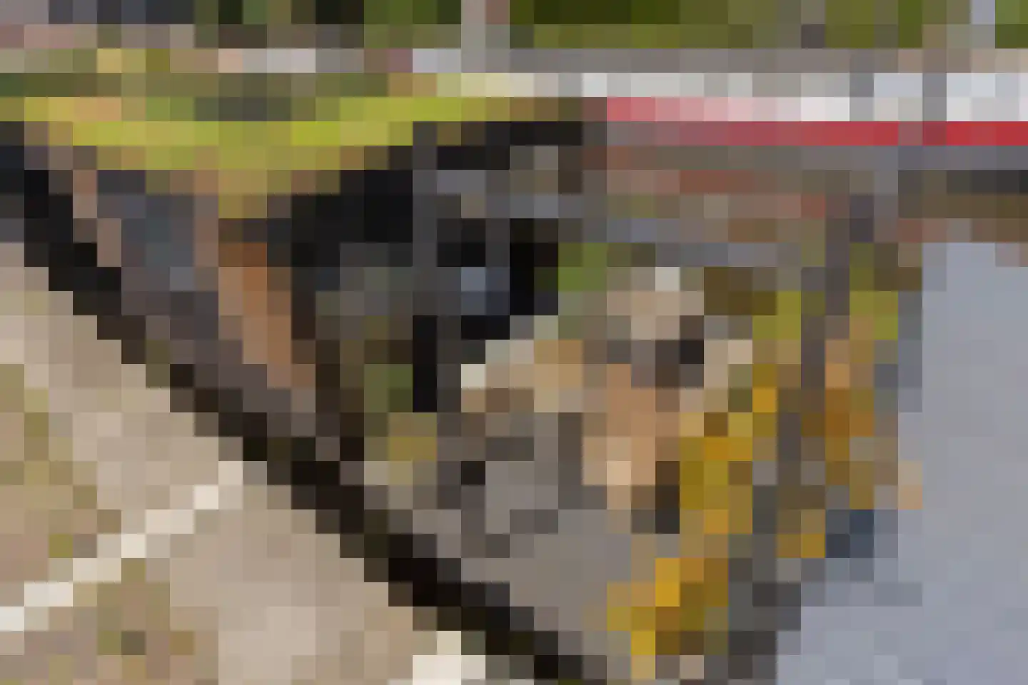 Spilsluizen 1004 Groningen thumbnail 5