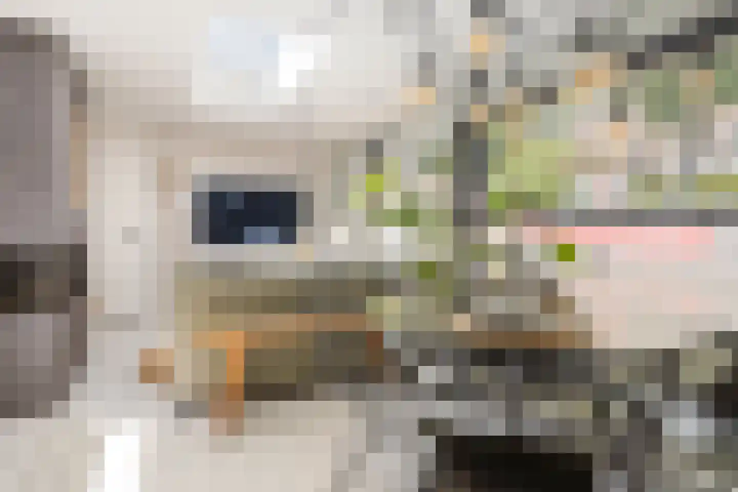 Spilsluizen 1004 Groningen thumbnail 6