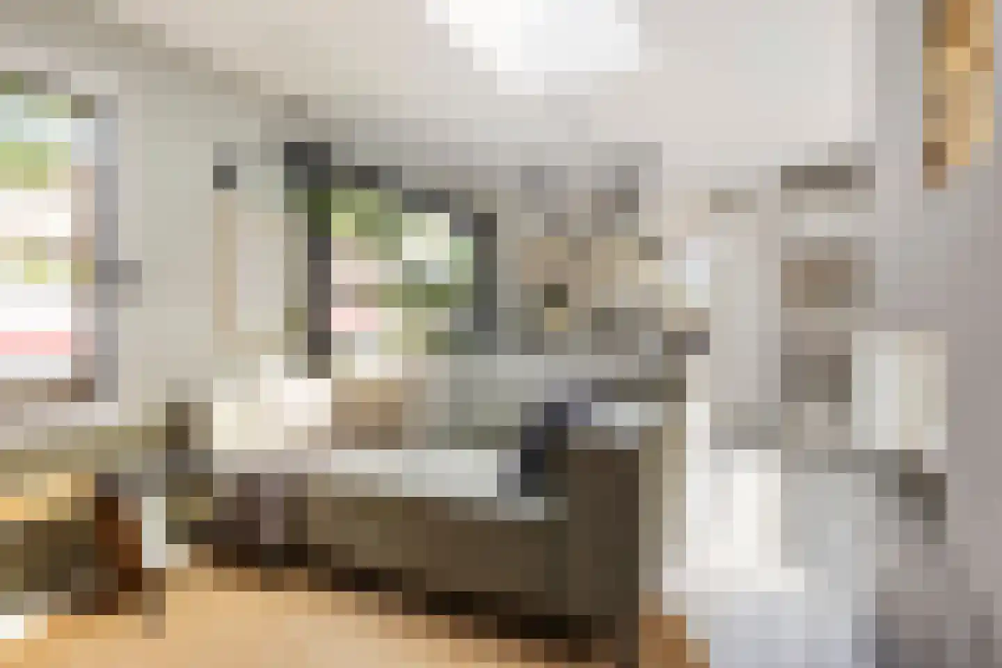 Spilsluizen 1004 Groningen thumbnail 8