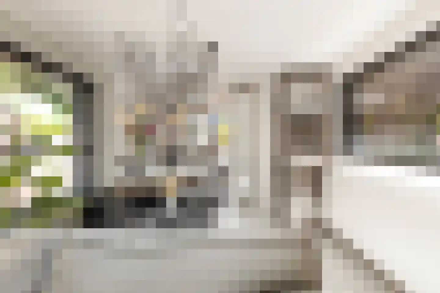 Spilsluizen 1004 Groningen thumbnail 9
