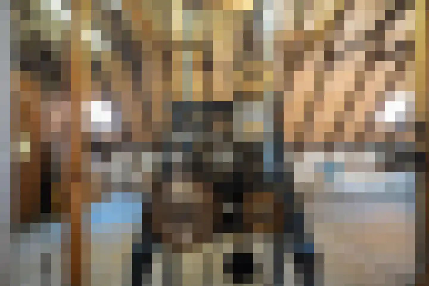 Spilsluizen 7 Groningen thumbnail 62