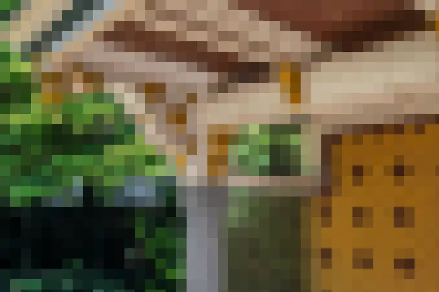 Spilsluizen 7 Groningen thumbnail 70
