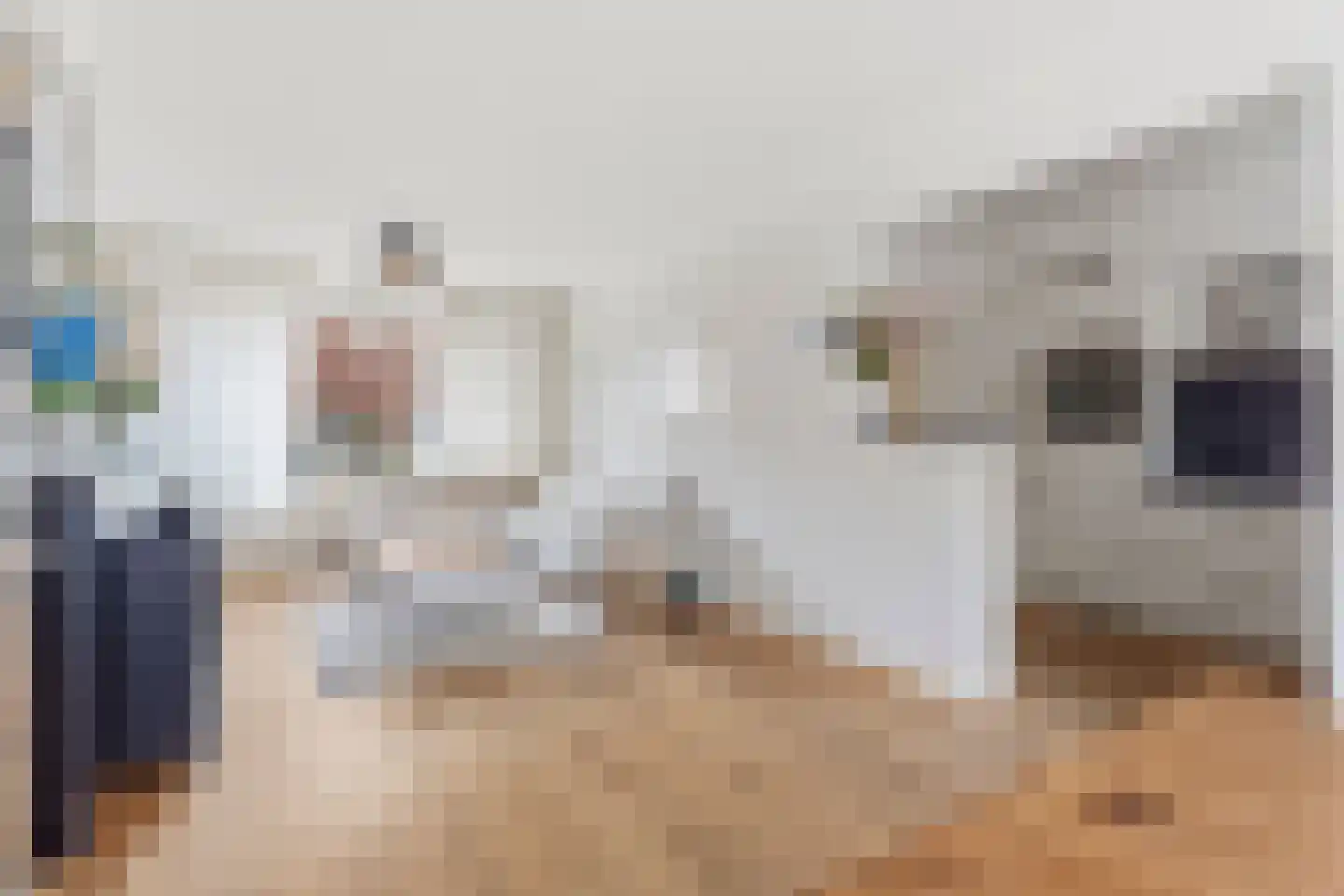 Spilstraat 10 Didam thumbnail 15