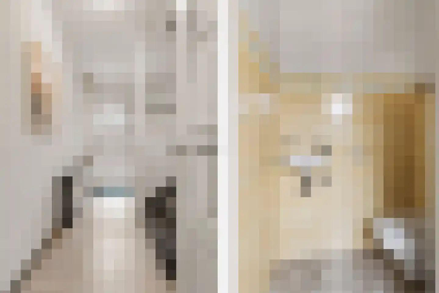 Spilstraat 10 Didam thumbnail 20