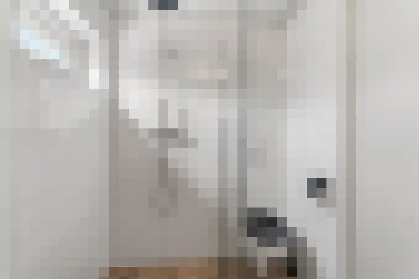 Spilstraat 10 Didam thumbnail 27