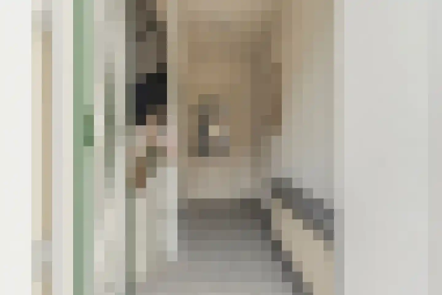Spilstraat 10 Didam thumbnail 6