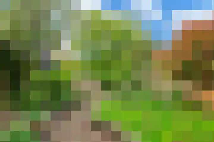 Spilstraat 131 Alkmaar thumbnail 30