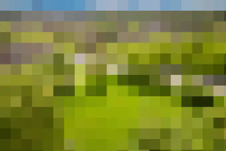 Spilstraat 131 Alkmaar thumbnail 39