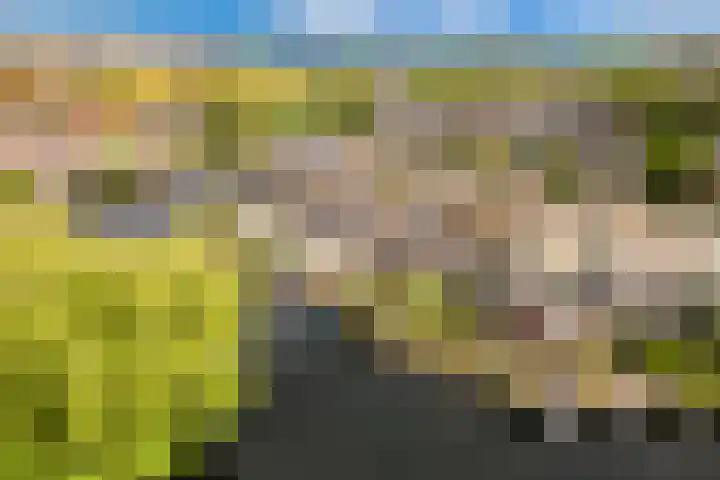 Spilstraat 131 Alkmaar thumbnail 4