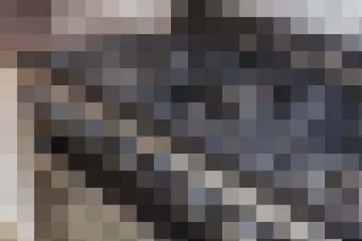 Spilstraat 75 Alkmaar thumbnail 15
