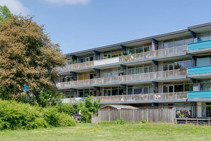 Spinaker 113 en Amsterdam foto