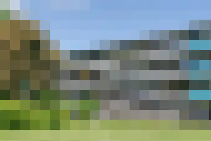 Spinaker 113 Amsterdam