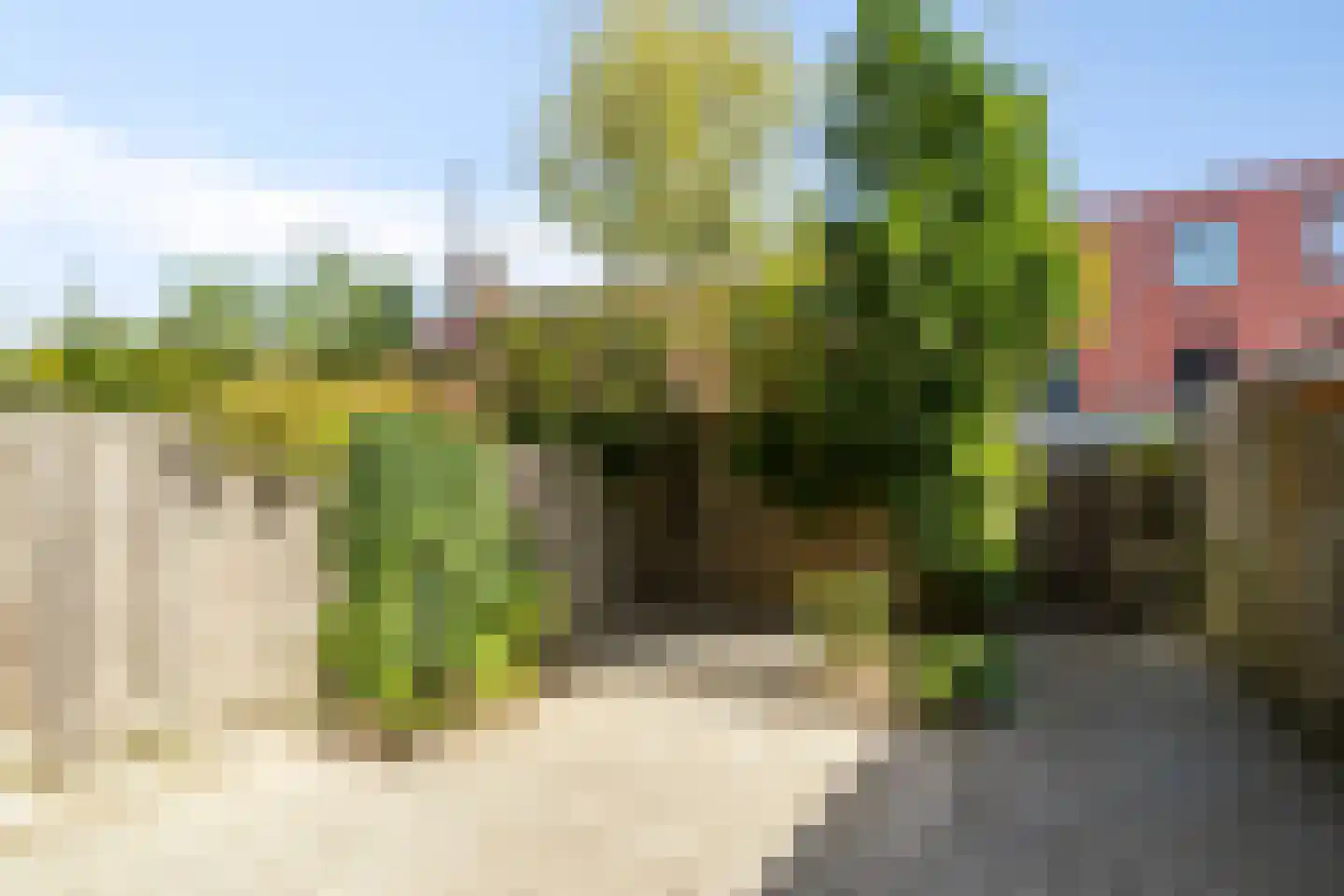 Spinaker 16 Etten-Leur thumbnail 4