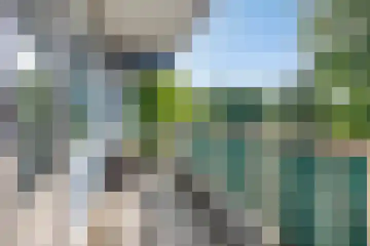 Spinaker 191 Amsterdam thumbnail 15